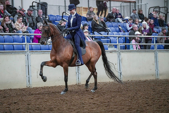 Spring Fling - Saturday - April 20, 2019  -  00715