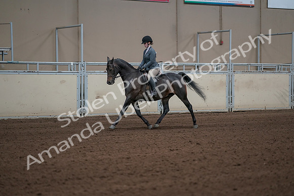 2019 Morgan Horse Show - Sept 01, 2019 - 10906_1