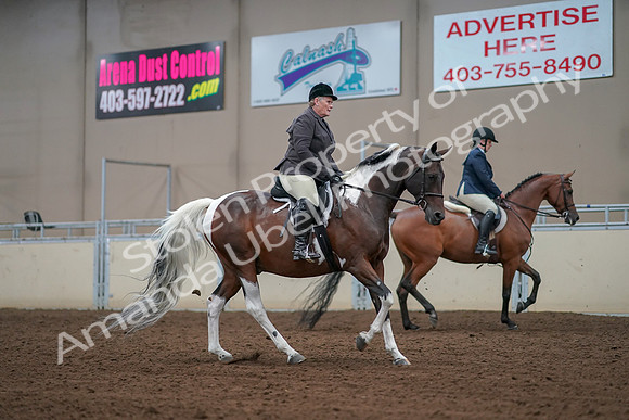 2019 Morgan Horse Show - Aug 30, 2019 - 16432