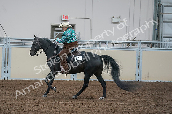 2020 - AB Morgan Horse - Fri, Sept 04 - 00503