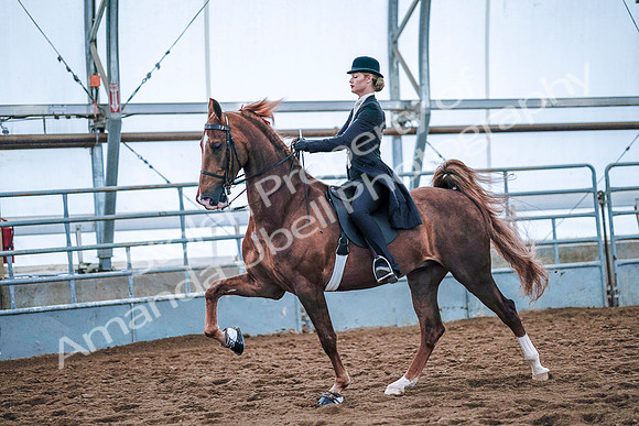 July 20, 2019 - 23997