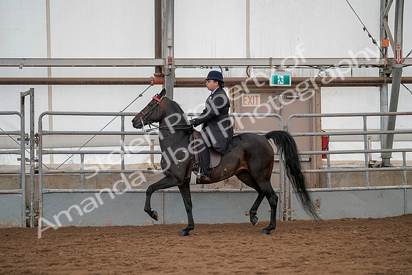 July 20, 2019 - 04217