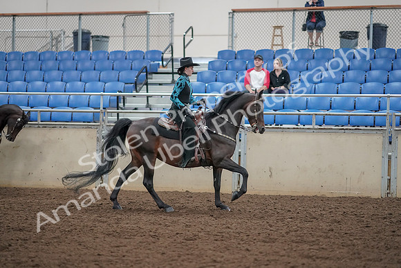 2019 Morgan Horse Show - Aug 30, 2019 - 26172