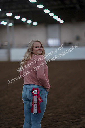 2019 Morgan Horse Show - Sept 01, 2019 - 12150
