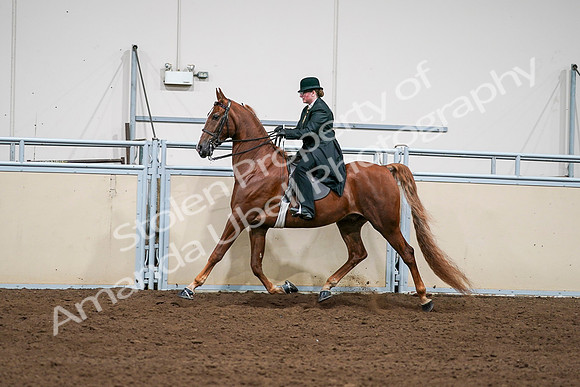 2020 - AB Morgan Horse - Sat, Sept 05 - 08049