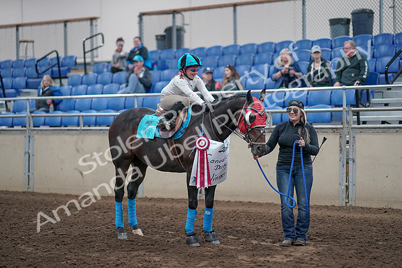 2019 Morgan Horse Show - Aug 31, 2019 - 10235