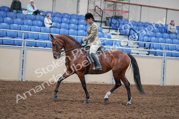 2020 - AB Morgan Horse - Sat, Sept 05 - 14375