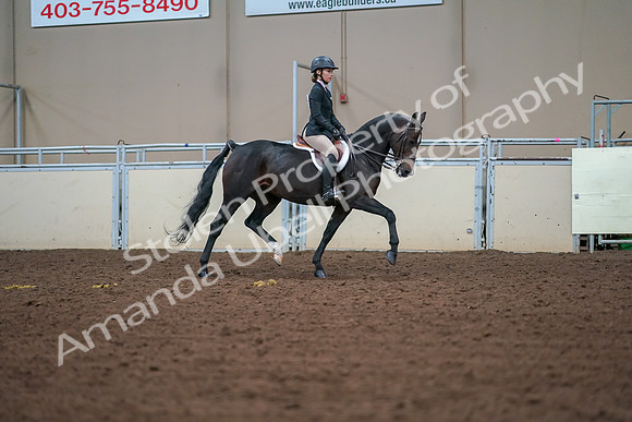 2019 Morgan Horse Show - Aug 30, 2019 - 20767
