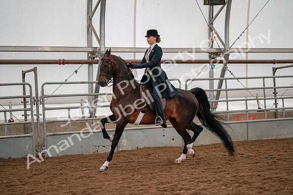 July 19, 2019 - 10534