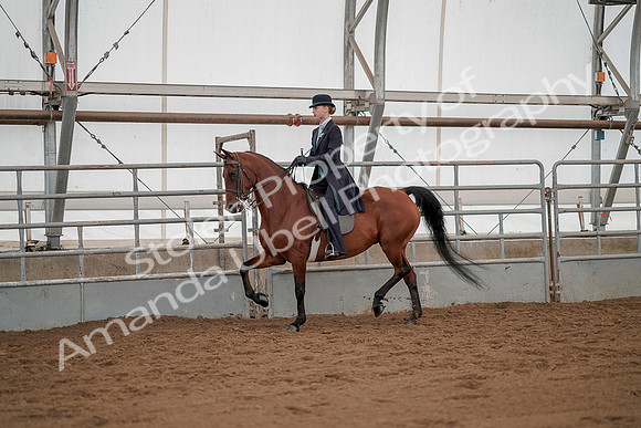 July 20, 2019 - 04287