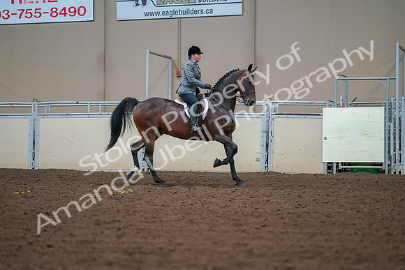 2019 Morgan Horse Show - Aug 30, 2019 - 20932