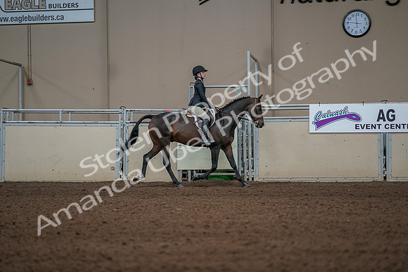 2019 Morgan Horse Show - Aug 31, 2019 - 05164