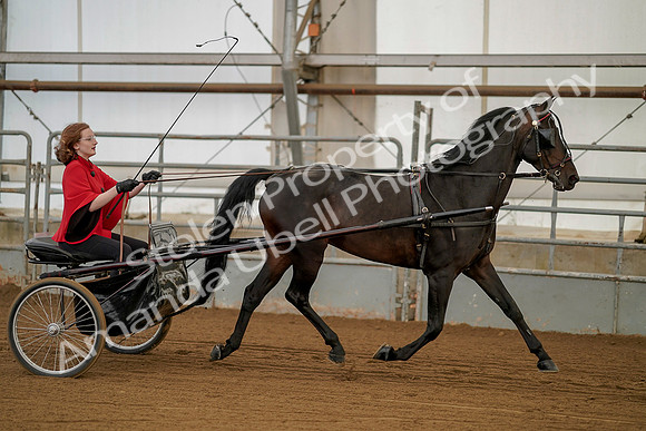 July 20, 2019 - 00246