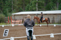 2019 Morgan Horse Show - Aug 30, 2019 - 00218