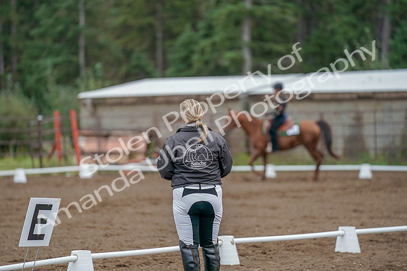 2019 Morgan Horse Show - Aug 30, 2019 - 00218
