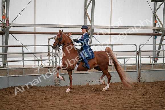 July 19, 2019 - 10365