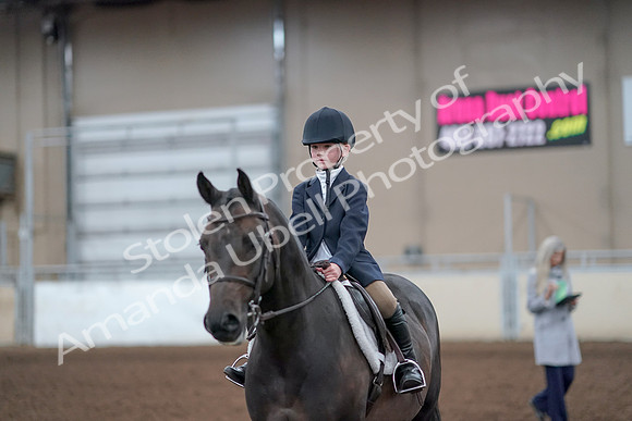 2019 Morgan Horse Show - Aug 31, 2019 - 19708