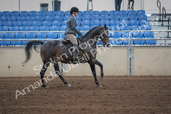 2019 Morgan Horse Show - Sept 01, 2019 - 11065