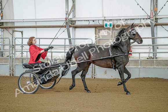 July 20, 2019 - 08764