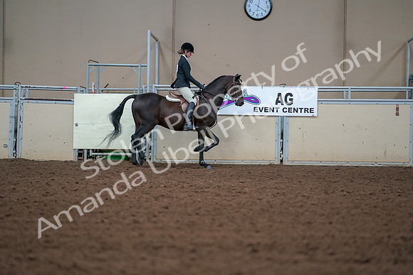 2019 Morgan Horse Show - Aug 30, 2019 - 20813