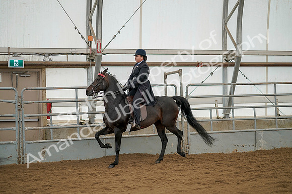 July 20, 2019 - 04343