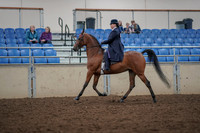 2019 Morgan Horse Show - Aug 30, 2019 - 28369