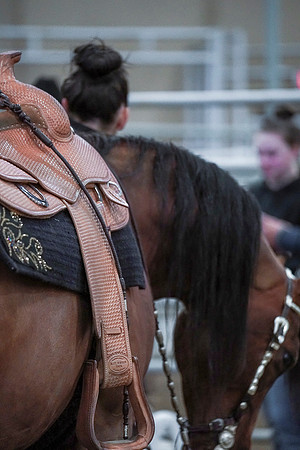 Spring Fling - Saturday - April 20, 2019  -  00912