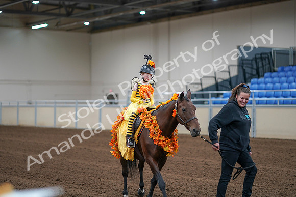 2020 - AB Morgan Horse - Sat, Sept 05 - 05781