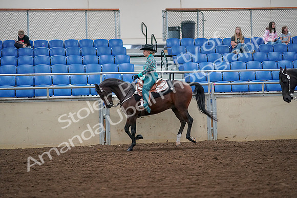 2019 Morgan Horse Show - Aug 30, 2019 - 16882