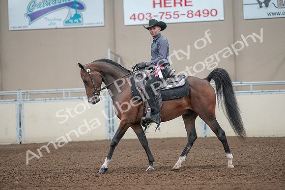 2019 Morgan Horse Show - Aug 31, 2019 - 06293