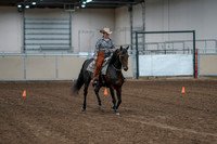 2020 - AB Morgan Horse - Fri, Sept 04 - 00041