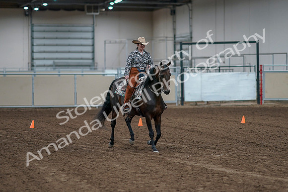 2020 - AB Morgan Horse - Fri, Sept 04 - 00041
