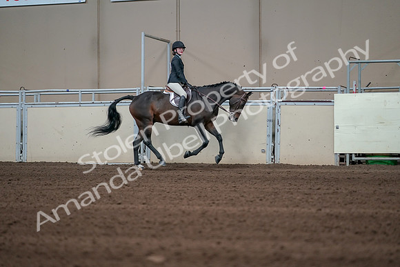 2019 Morgan Horse Show - Sept 01, 2019 - 03904