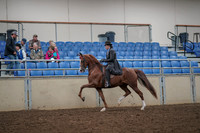 2019 Morgan Horse Show - Aug 30, 2019 - 26485