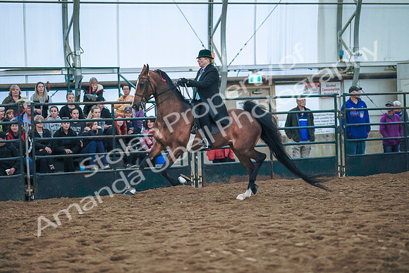 July 20, 2019 - 24074