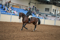 2020 - AB Morgan Horse - Sat, Sept 05 - 09304