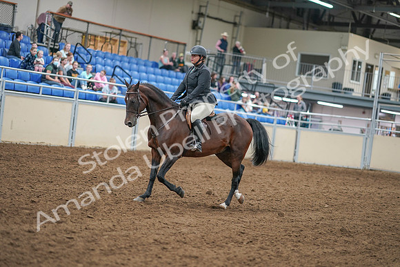 2020 - AB Morgan Horse - Sat, Sept 05 - 09304