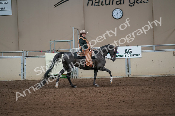 2019 Morgan Horse Show - Aug 31, 2019 - 06175