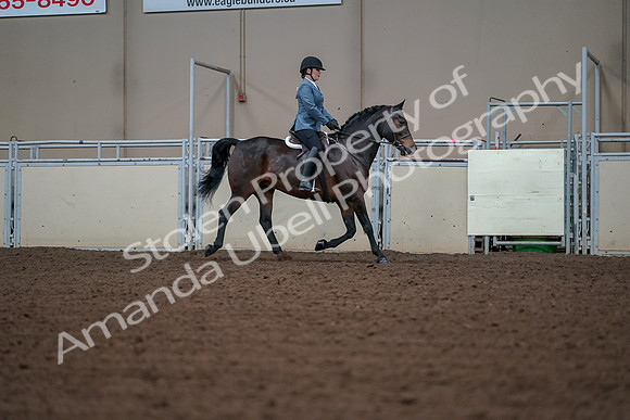 2019 Morgan Horse Show - Aug 30, 2019 - 18508