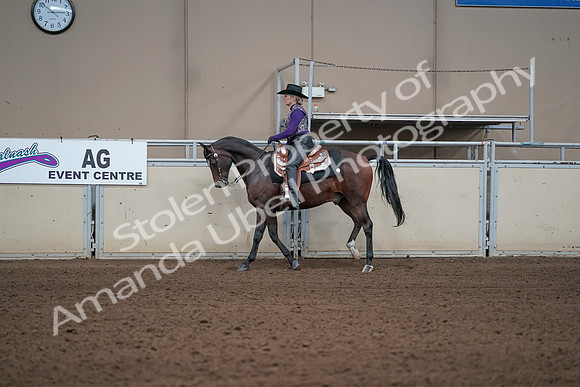 2019 Morgan Horse Show - Aug 31, 2019 - 10586