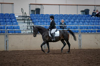 2019 Morgan Horse Show - Aug 31, 2019 - 16492