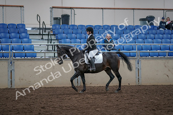2019 Morgan Horse Show - Aug 31, 2019 - 16492