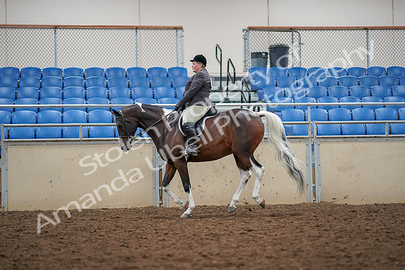 2019 Morgan Horse Show - Aug 30, 2019 - 22333