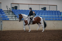 2019 Morgan Horse Show - Aug 30, 2019 - 14863