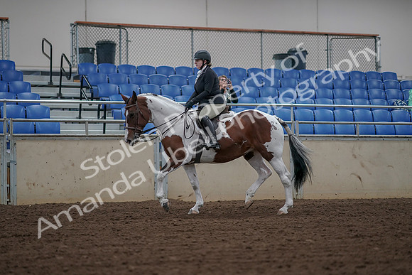2019 Morgan Horse Show - Aug 30, 2019 - 14863