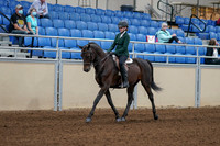 2020 - AB Morgan Horse - Fri, Sept 04 - 03938