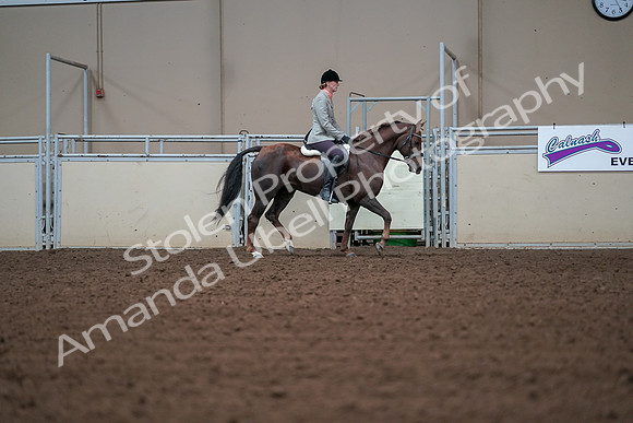 2019 Morgan Horse Show - Aug 30, 2019 - 18491