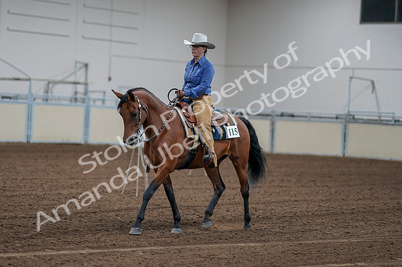 2020 - AB Morgan Horse - Fri, Sept 04 - 00137