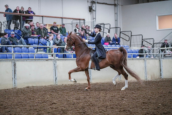 Spring Fling - Saturday - April 20, 2019  -  04083