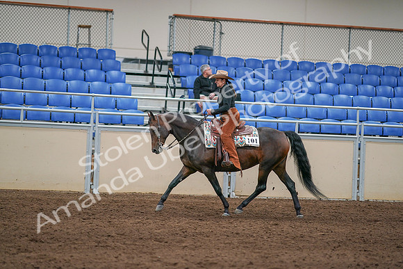 2020 - AB Morgan Horse - Sun, Sept 06 - 01610